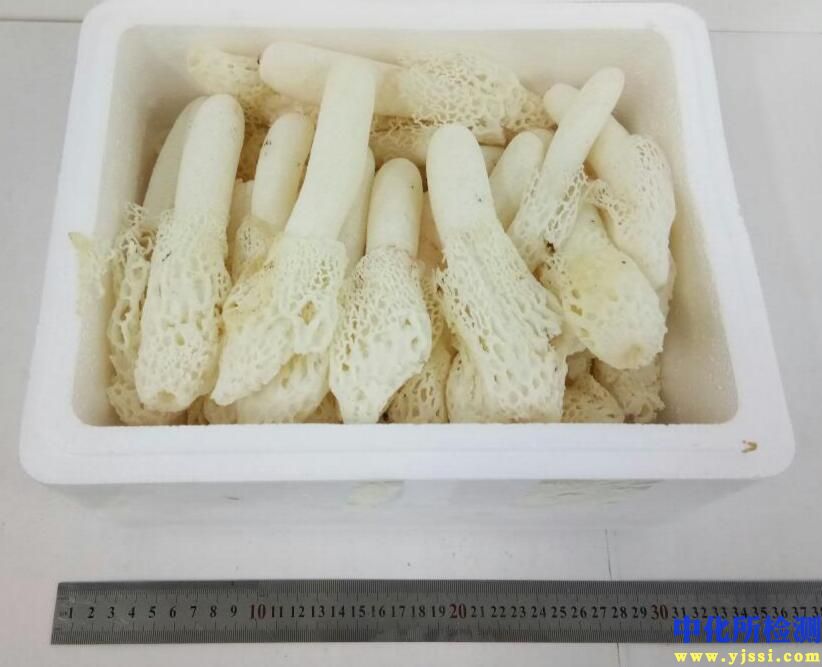 竹蓀檢測案例