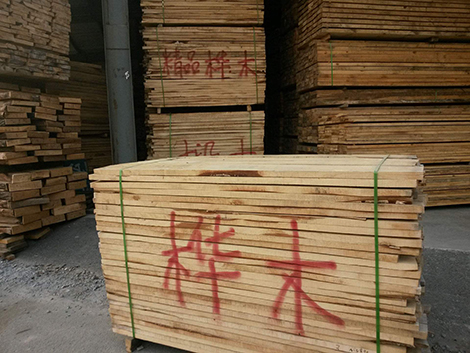 樺木檢測