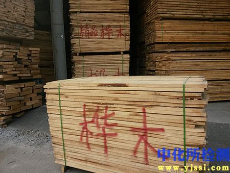 樺木檢測