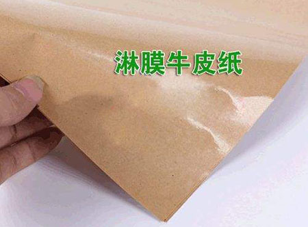 淋膜紙檢測報告
