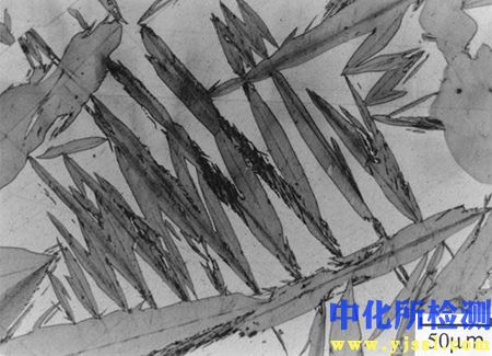 金相組織檢測