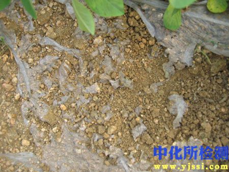 生物降解檢測