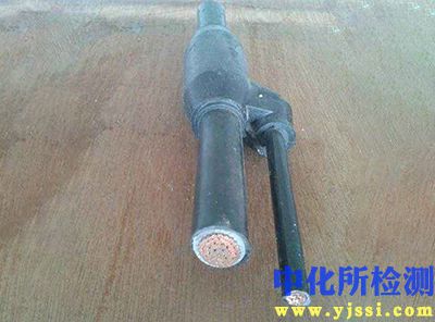 預(yù)分支電纜測(cè)試