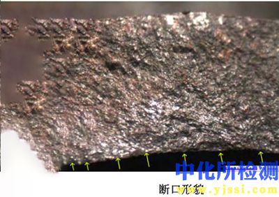 斷口形貌檢測
