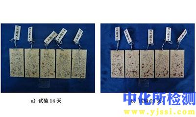 耐硫酸侵蝕試驗