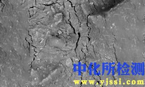煤素質(zhì)組分顯微鏡檢驗(yàn)