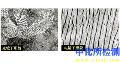 珠光體檢測