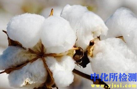 長(zhǎng)絨棉檢測(cè)