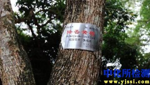 樹種檢測鑒定,原木樹種鑒定報告
