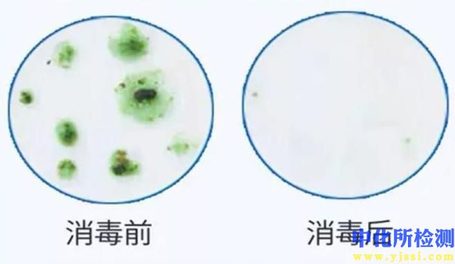 殺菌率測試