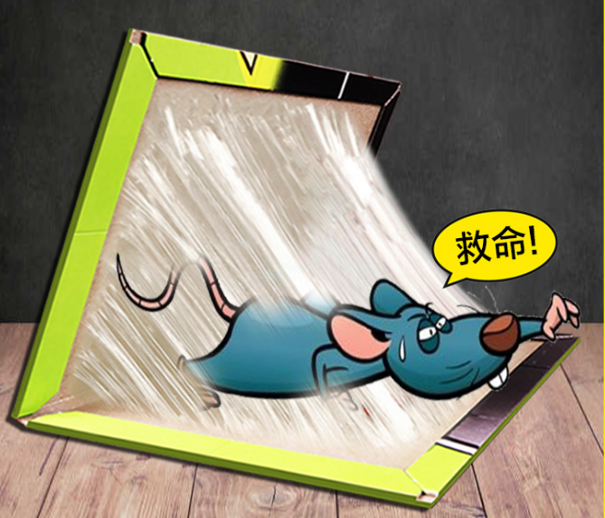 粘鼠板檢測